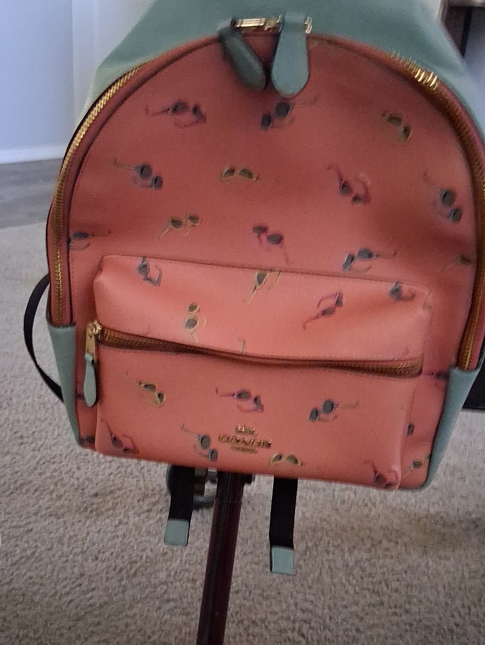 Fun Coach Sunglass Backpack